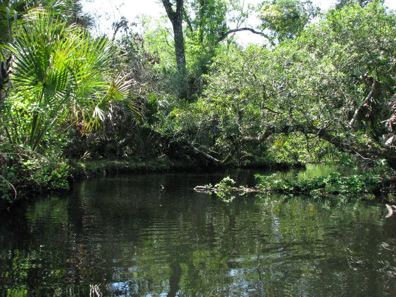 Juniper-Springs-Canoe-Run-Ocala-National-Forest-FL-050