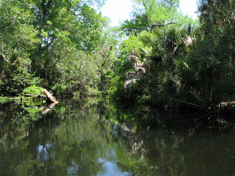 Juniper-Springs-Canoe-Run-Ocala-National-Forest-FL-052