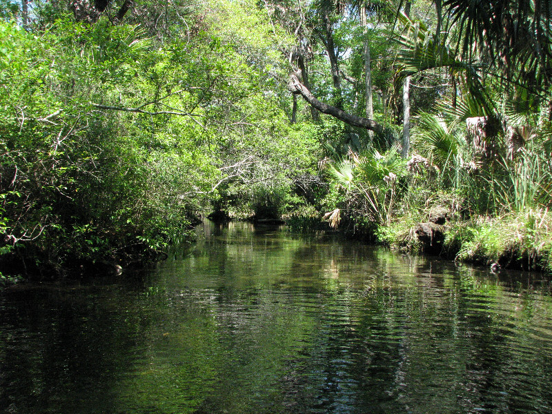 Juniper-Springs-Canoe-Run-Ocala-National-Forest-FL-055