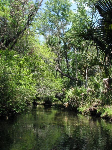 Juniper-Springs-Canoe-Run-Ocala-National-Forest-FL-056