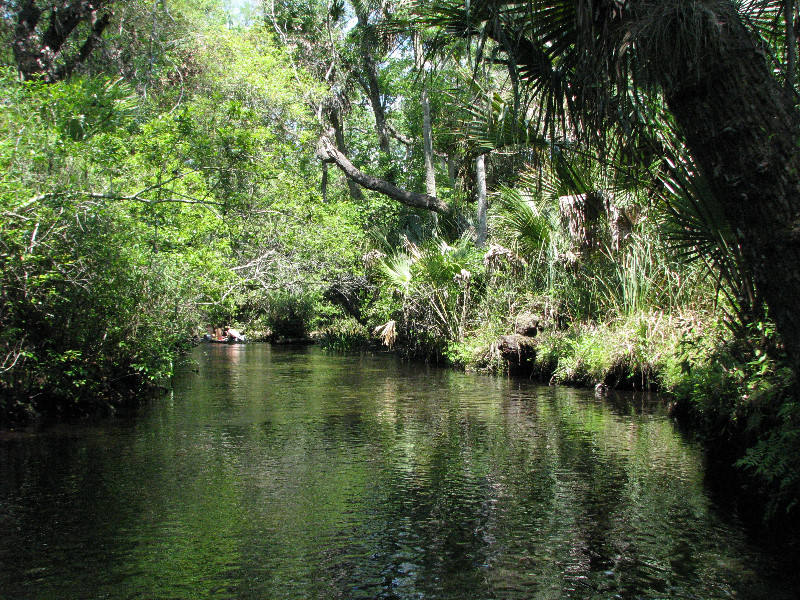 Juniper-Springs-Canoe-Run-Ocala-National-Forest-FL-057