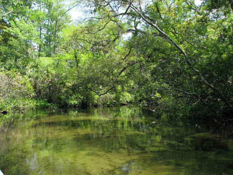 Juniper-Springs-Canoe-Run-Ocala-National-Forest-FL-065
