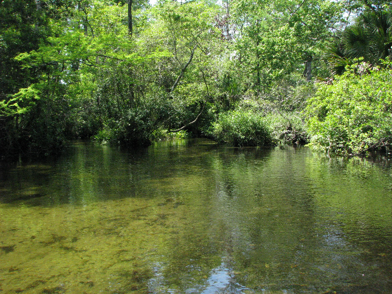 Juniper-Springs-Canoe-Run-Ocala-National-Forest-FL-066