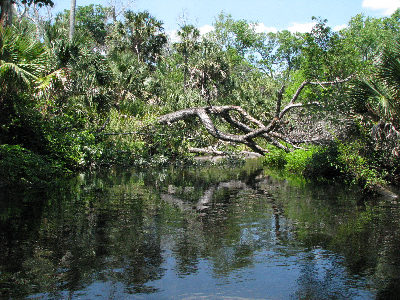 Juniper-Springs-Canoe-Run-Ocala-National-Forest-FL-067