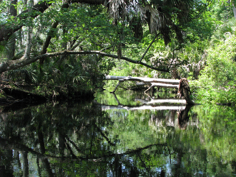 Juniper-Springs-Canoe-Run-Ocala-National-Forest-FL-068