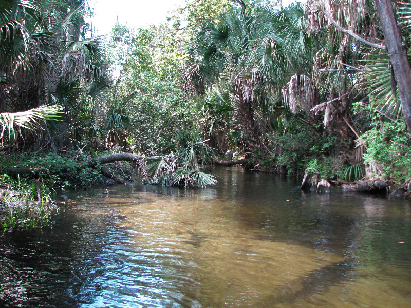 Juniper-Springs-Canoe-Run-Ocala-National-Forest-FL-078