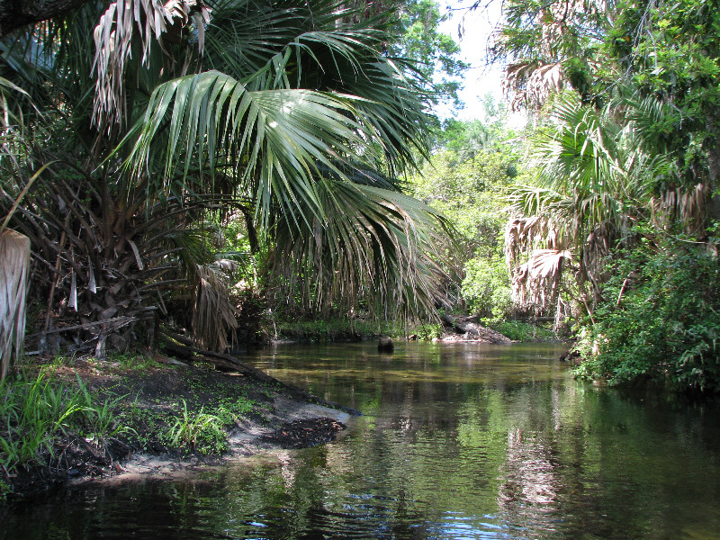 Juniper-Springs-Canoe-Run-Ocala-National-Forest-FL-082