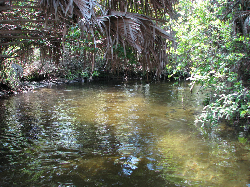 Juniper-Springs-Canoe-Run-Ocala-National-Forest-FL-083