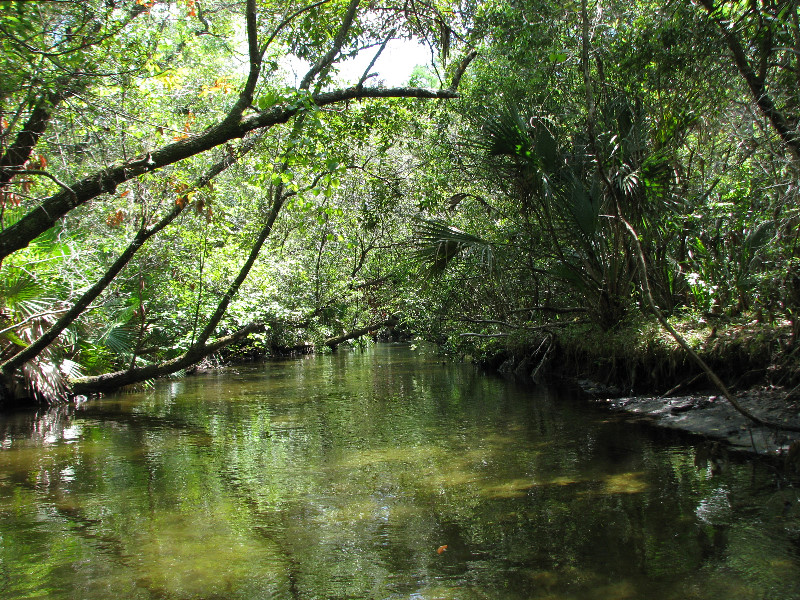 Juniper-Springs-Canoe-Run-Ocala-National-Forest-FL-088