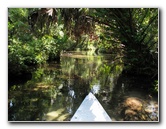 Juniper-Springs-Canoe-Run-Ocala-National-Forest-FL-004