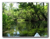 Juniper-Springs-Canoe-Run-Ocala-National-Forest-FL-006