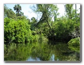 Juniper-Springs-Canoe-Run-Ocala-National-Forest-FL-007