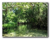 Juniper-Springs-Canoe-Run-Ocala-National-Forest-FL-013