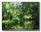 Juniper-Springs-Canoe-Run-Ocala-National-Forest-FL-014