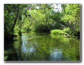 Juniper-Springs-Canoe-Run-Ocala-National-Forest-FL-017