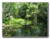 Juniper-Springs-Canoe-Run-Ocala-National-Forest-FL-021