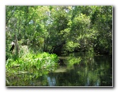 Juniper-Springs-Canoe-Run-Ocala-National-Forest-FL-022