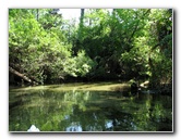 Juniper-Springs-Canoe-Run-Ocala-National-Forest-FL-027