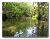 Juniper-Springs-Canoe-Run-Ocala-National-Forest-FL-037
