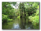 Juniper-Springs-Canoe-Run-Ocala-National-Forest-FL-038