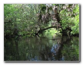 Juniper-Springs-Canoe-Run-Ocala-National-Forest-FL-039