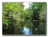 Juniper-Springs-Canoe-Run-Ocala-National-Forest-FL-043