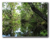 Juniper-Springs-Canoe-Run-Ocala-National-Forest-FL-046