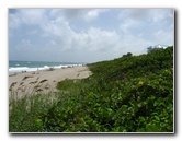 Jupiter-Florida-009