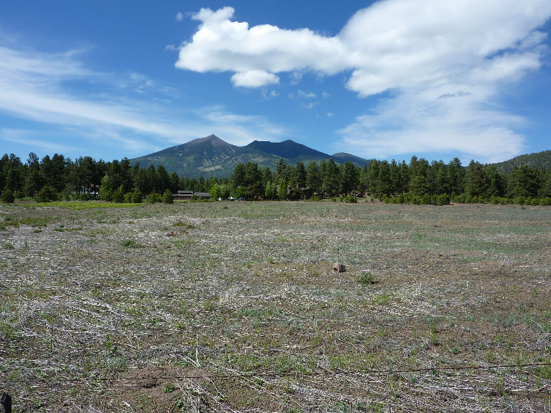 Kachina-Peaks-Wilderness-Coconino-National-Forest-AZ-001
