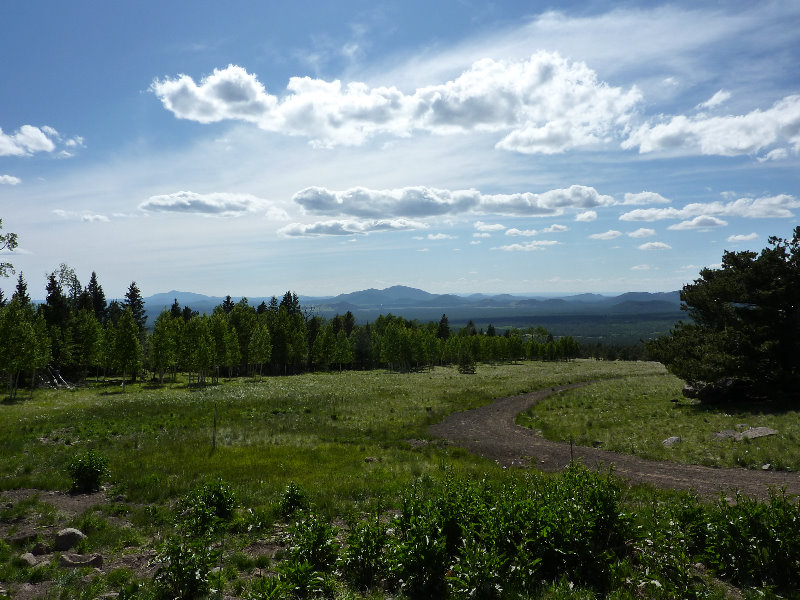 Kachina-Peaks-Wilderness-Coconino-National-Forest-AZ-002