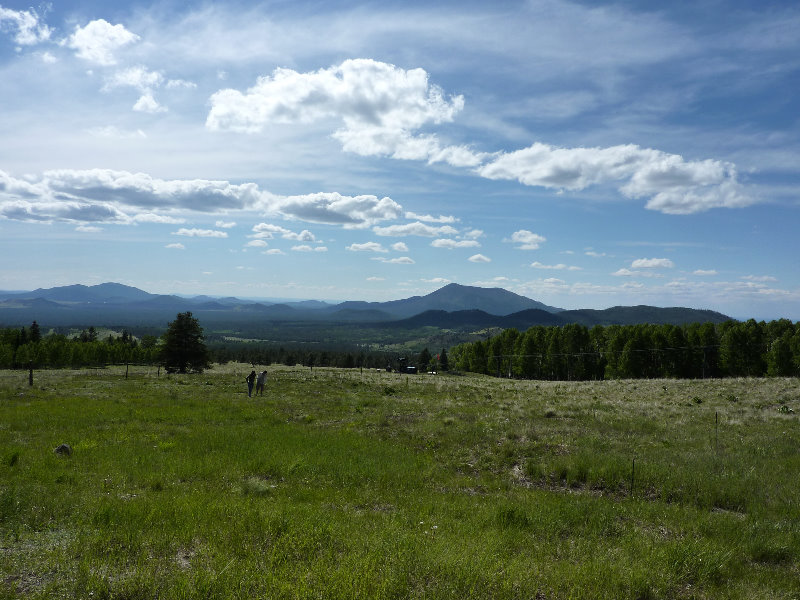 Kachina-Peaks-Wilderness-Coconino-National-Forest-AZ-005