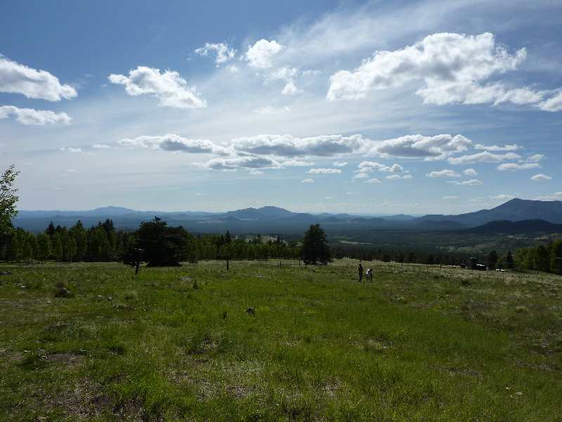 Kachina-Peaks-Wilderness-Coconino-National-Forest-AZ-006