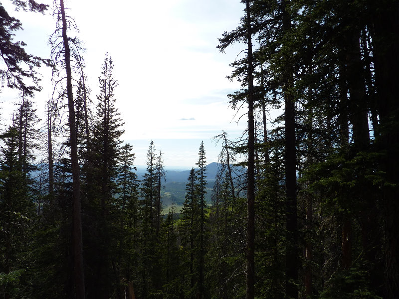 Kachina-Peaks-Wilderness-Coconino-National-Forest-AZ-008