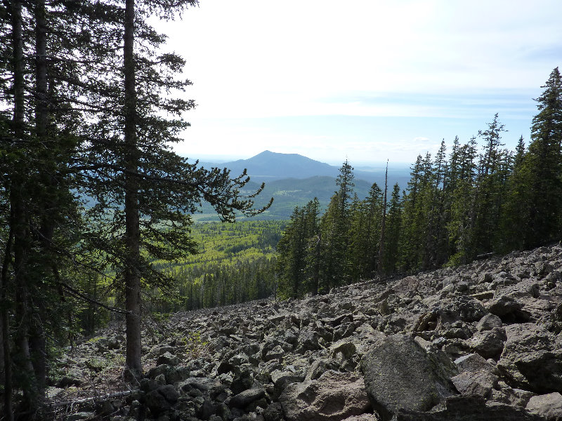 Kachina-Peaks-Wilderness-Coconino-National-Forest-AZ-010