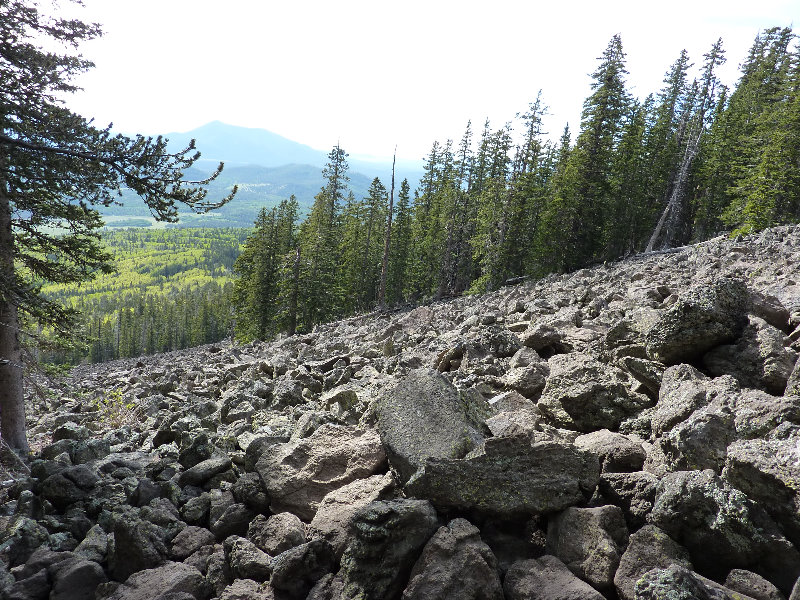 Kachina-Peaks-Wilderness-Coconino-National-Forest-AZ-011