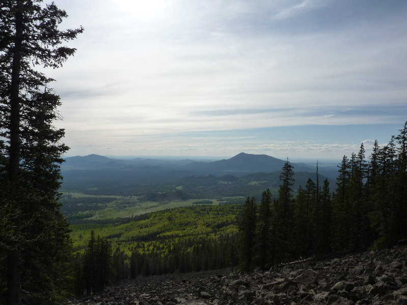 Kachina-Peaks-Wilderness-Coconino-National-Forest-AZ-012