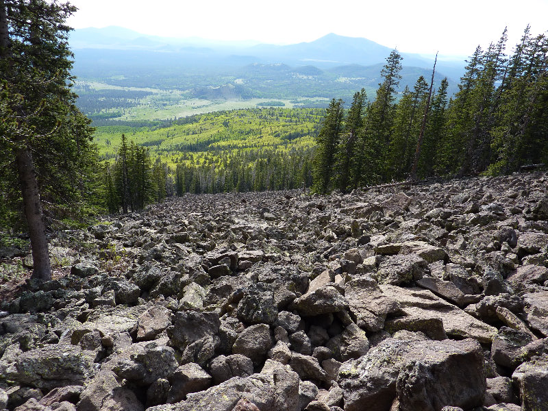Kachina-Peaks-Wilderness-Coconino-National-Forest-AZ-014
