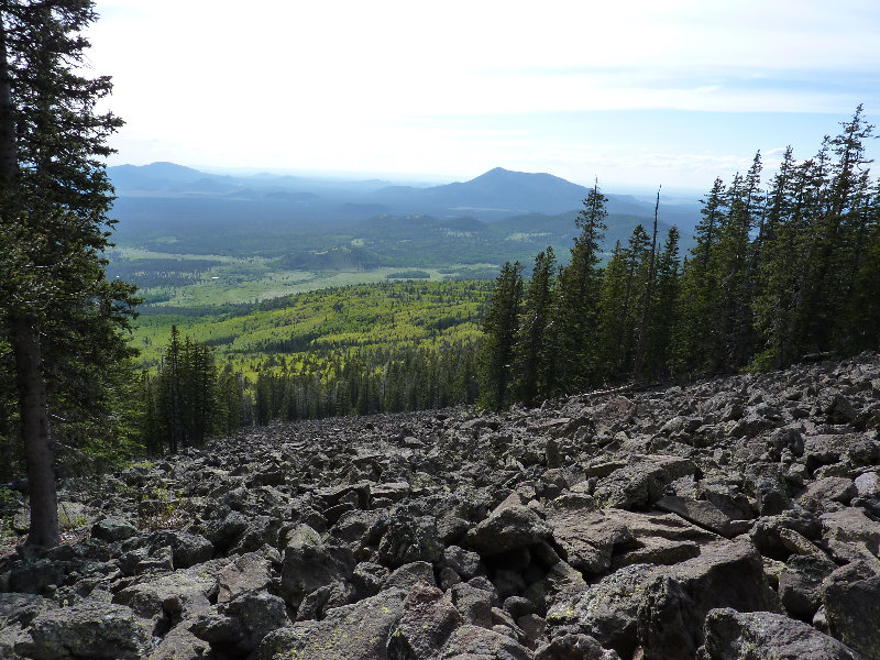 Kachina-Peaks-Wilderness-Coconino-National-Forest-AZ-015