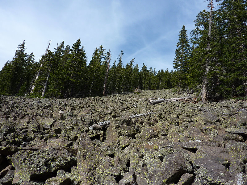 Kachina-Peaks-Wilderness-Coconino-National-Forest-AZ-016