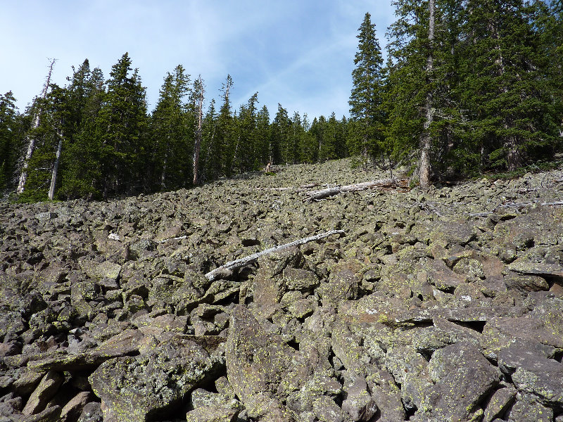 Kachina-Peaks-Wilderness-Coconino-National-Forest-AZ-017