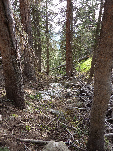 Kachina-Peaks-Wilderness-Coconino-National-Forest-AZ-019