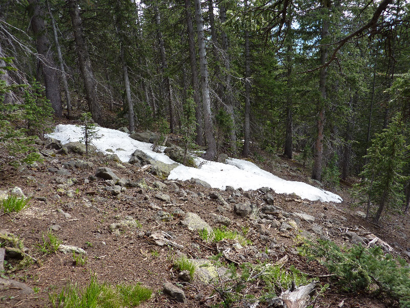 Kachina-Peaks-Wilderness-Coconino-National-Forest-AZ-020