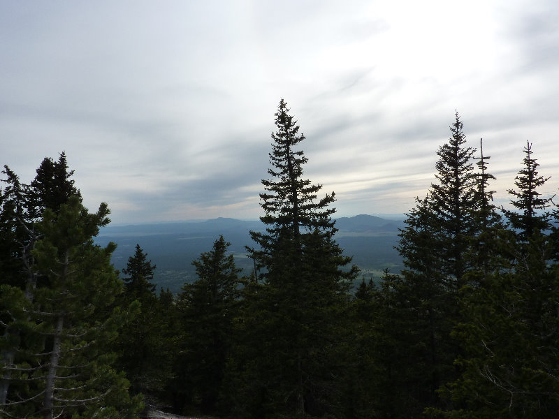 Kachina-Peaks-Wilderness-Coconino-National-Forest-AZ-021