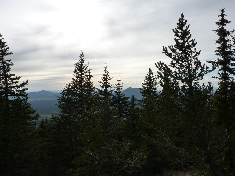 Kachina-Peaks-Wilderness-Coconino-National-Forest-AZ-022