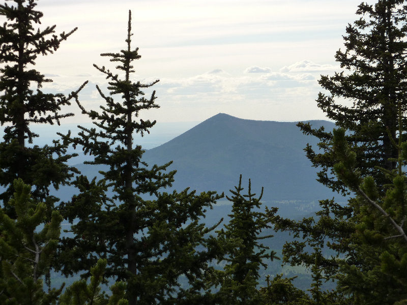 Kachina-Peaks-Wilderness-Coconino-National-Forest-AZ-023