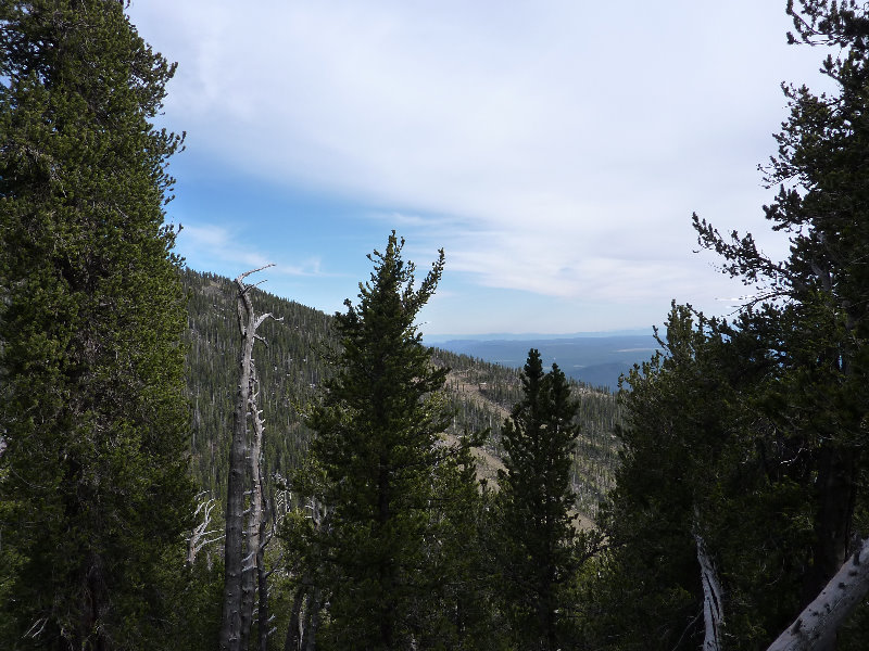 Kachina-Peaks-Wilderness-Coconino-National-Forest-AZ-024