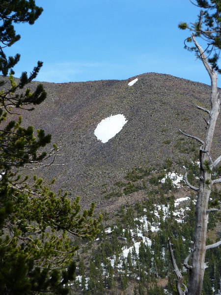Kachina-Peaks-Wilderness-Coconino-National-Forest-AZ-025