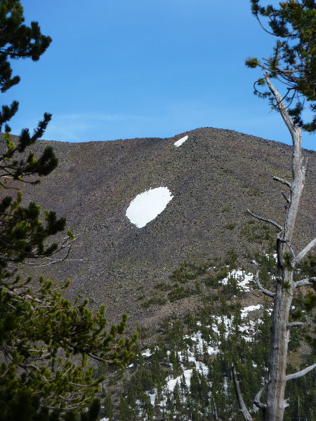 Kachina-Peaks-Wilderness-Coconino-National-Forest-AZ-026