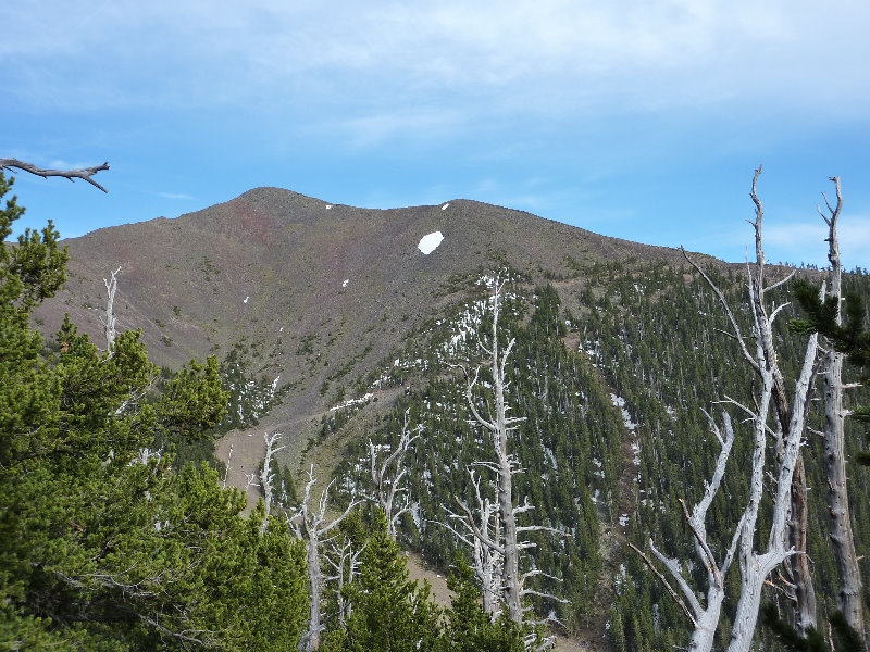 Kachina-Peaks-Wilderness-Coconino-National-Forest-AZ-027