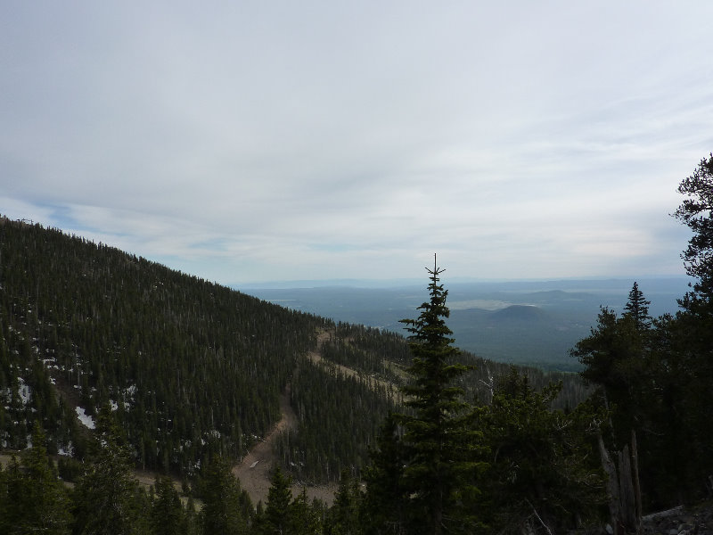 Kachina-Peaks-Wilderness-Coconino-National-Forest-AZ-028